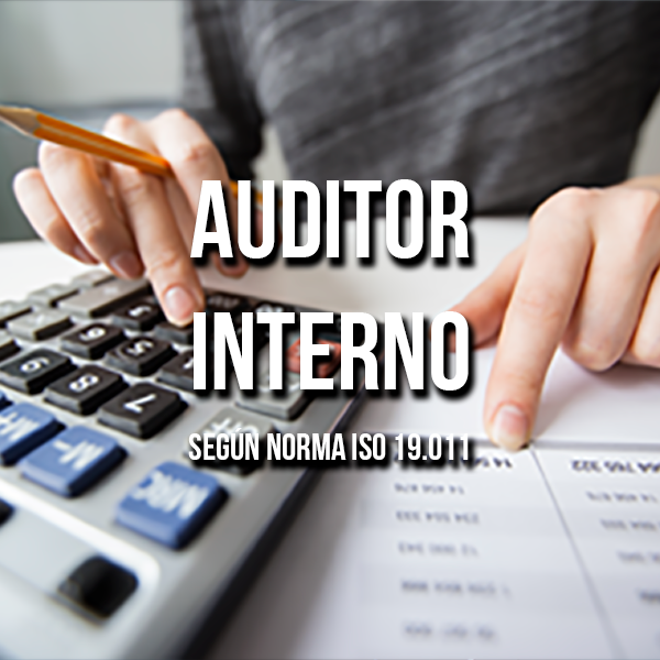 auditor_interno